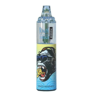Pod Descartável Randm Tornado 7000 Puffs | Sabores RandM - 11