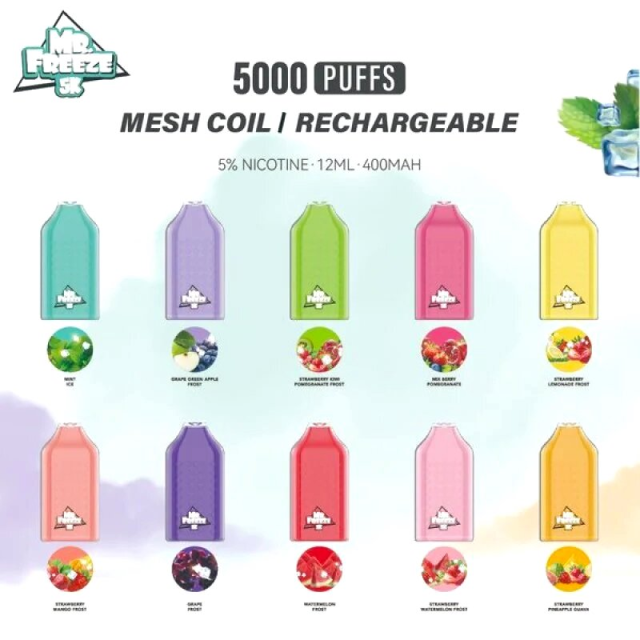 Pod Descartável Mr Freeze 5k 5000 puffs | Todos os Sabores Geek Bar - 13